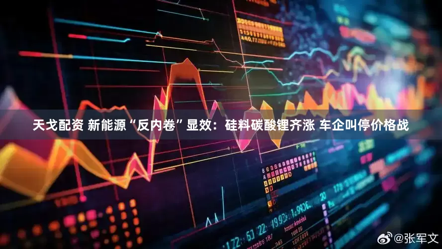 天戈配资 新能源“反内卷”显效：硅料碳酸锂齐涨 车企叫停价格战