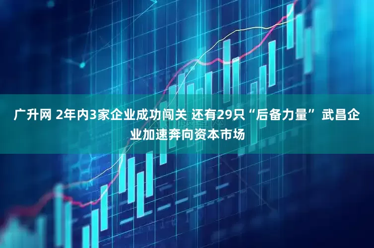 广升网 2年内3家企业成功闯关 还有29只“后备力量” 武昌企业加速奔向资本市场