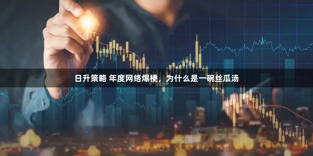 日升策略 年度网络爆梗，为什么是一碗丝瓜汤