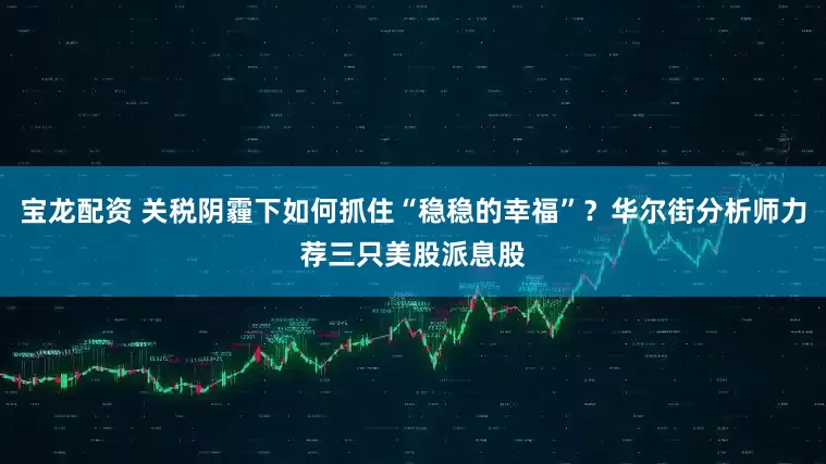 宝龙配资 关税阴霾下如何抓住“稳稳的幸福”？华尔街分析师力荐三只美股派息股