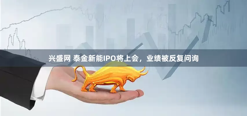 兴盛网 泰金新能IPO将上会，业绩被反复问询
